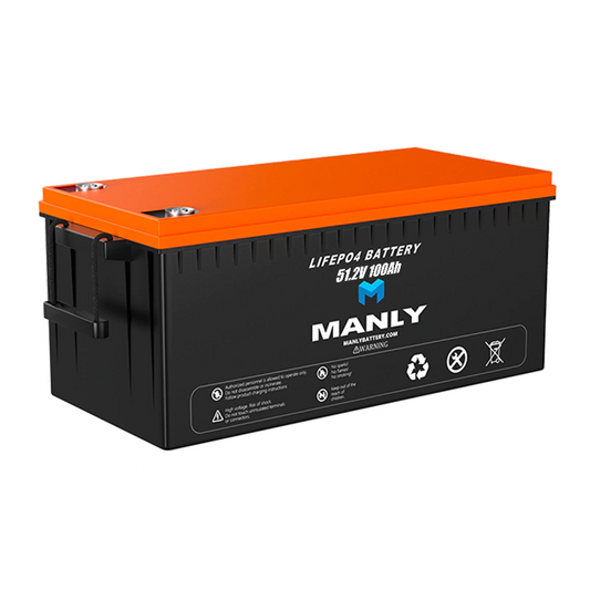 MANLY Robot Battery 48V 100Ah LiFePO4 Lithium Battery for Industrial Applications