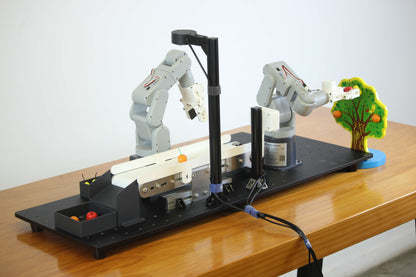Robotics Education Solution：6-axis Robot & Compound Robot with 3D vision