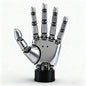 Bionic Robotic Hand