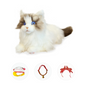 Elephant Robotics metaCat: Gift The Purr~Fect Companion Robotic Pet Cat Bicolor