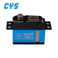 Helicopter Servo CYS-BLS3310-02 5kg High Speed Torque 6v 7.4v 0.03sec Digital Metal Gear 500 Classes Helicopter Tail Servo