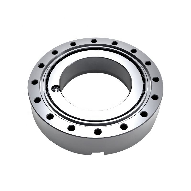 Reducer CYS-SHD-08 Low Friction Single Row 21.4mm Bore Size Stainless Steel Bearing Cylindrical Roller Bearing