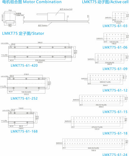 Ticbel Durable Lmkt75-61 Series Iron Core Motor for Industrial Solutions