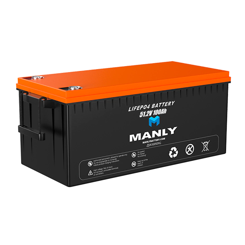 MANLY Robot Battery 48V 100Ah LiFePO4 Lithium Battery for Industrial Applications