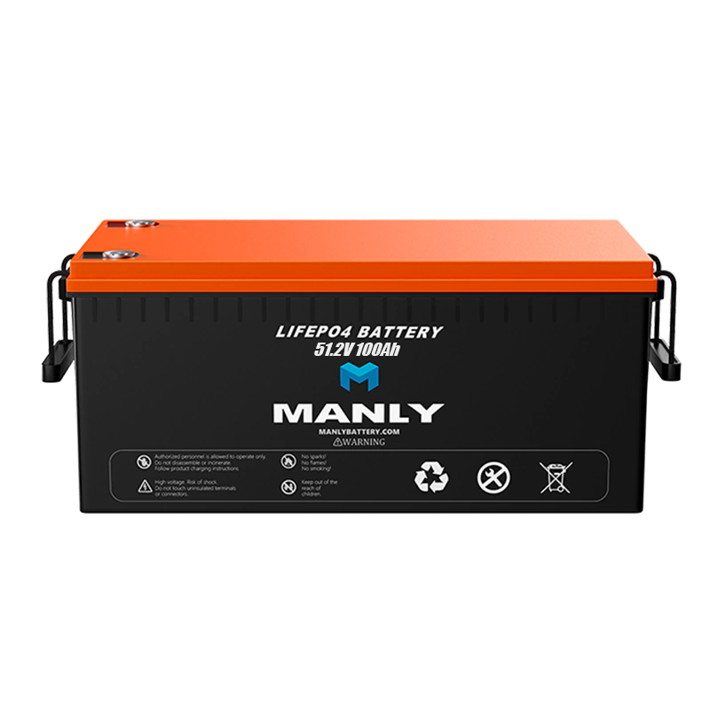 MANLY Robot Battery 48V 100Ah LiFePO4 Lithium Battery for Industrial Applications