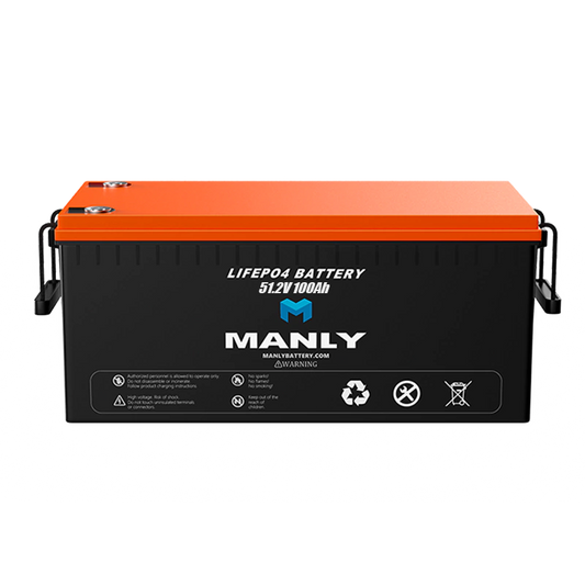 MANLY Robot Battery 48V 100Ah LiFePO4 Lithium Battery for Industrial Applications