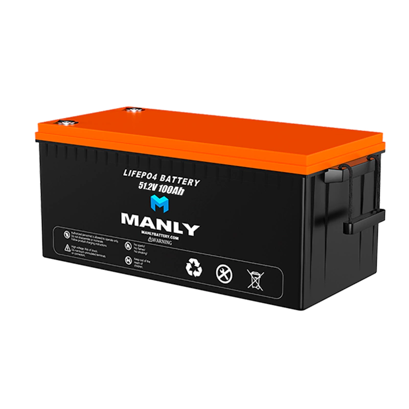 MANLY Robot Battery 48V 100Ah LiFePO4 Lithium Battery for Industrial Applications